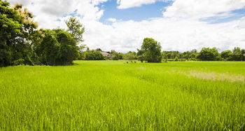 Imagine Chiang Mai